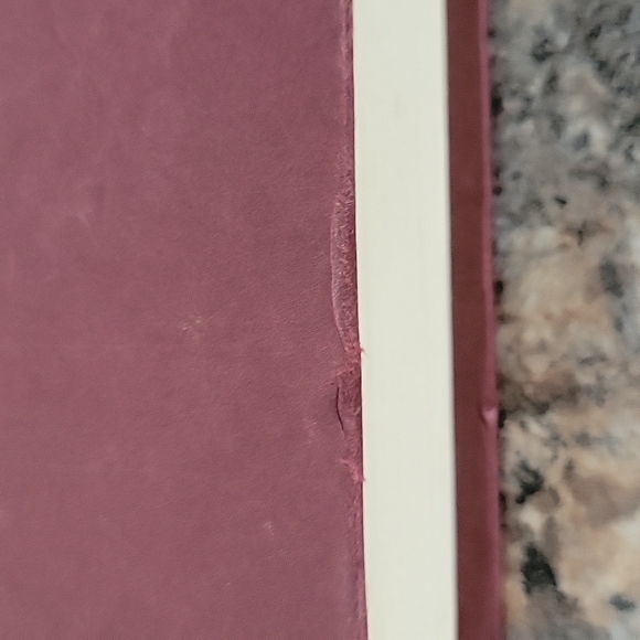 The 60 Greatest Conspiracy Theories of All Time | Johnathan Vankin & John Whalen - Picture 11 of 13